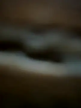 buodiculo online show from 10-29-25, 07:29