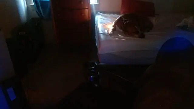 DADDY KANE8--- online show from 01-17-26, 09:29