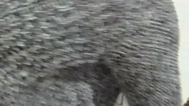 sluttylaura21 online show from 12-04-25, 11:48