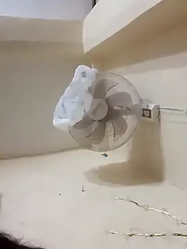 xxmoxxx online show from 12-21-24, 08:43