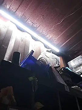 rajstrip12650 online show from 12-18-25, 09:25