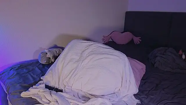 shey1i online show from 02-11-26, 06:19