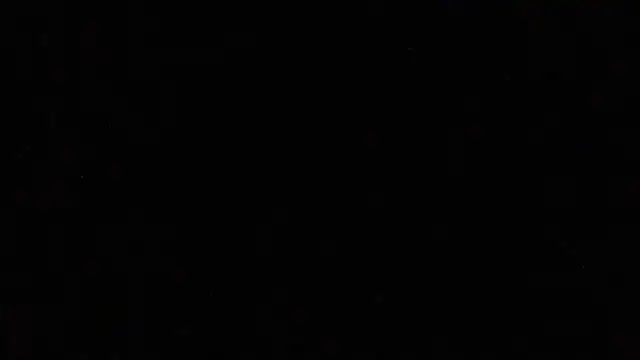 Pup Rush online show from 09-12-25, 03:39