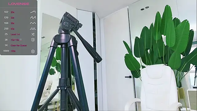 wowEva online show from 01-31-25, 11:56