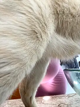 lupyta20 online show from 10-05-25, 01:02