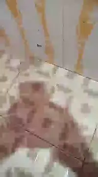 Sanjaymartin29 online show from 12-07-24, 03:42