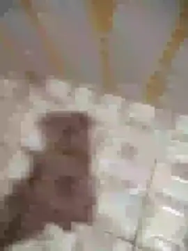 Sanjaymartin29 online show from 01-16-25, 01:37