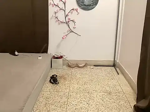 shanayaaa 1 online show from 03-08-26, 02:04