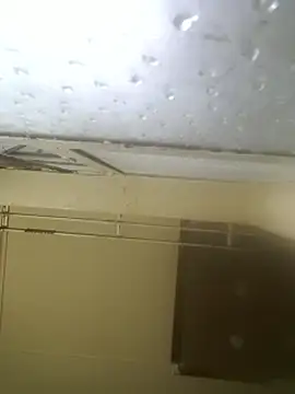 AddictiveAssCurves online show from 03-05-26, 07:27