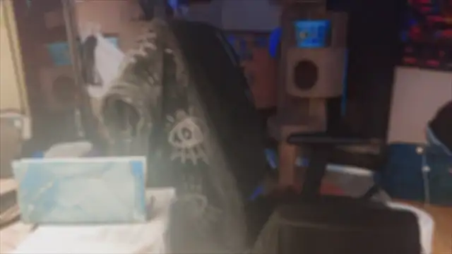 spunlikecottoncandy online show from 11-17-25, 10:52