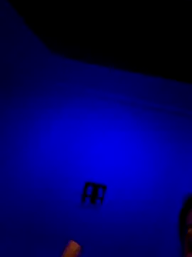 moniqque online show from 12-03-25, 07:35