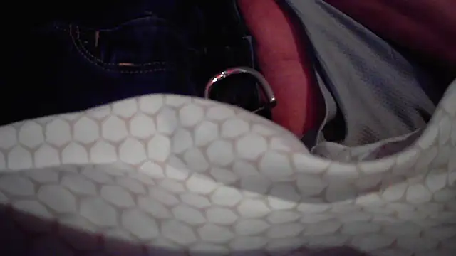 JRock69nKzoo online show from 12-18-25, 11:47