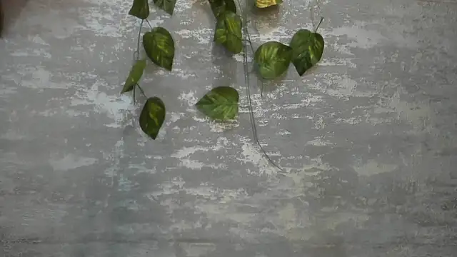 Snapshot of Mhelanny2 chatting on 05-24-26, 06:41 Mhelanny2 online show from 05-24-26, 06:41