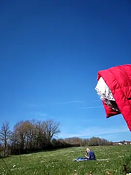 bellapaty online show from 03-17-26, 12:52