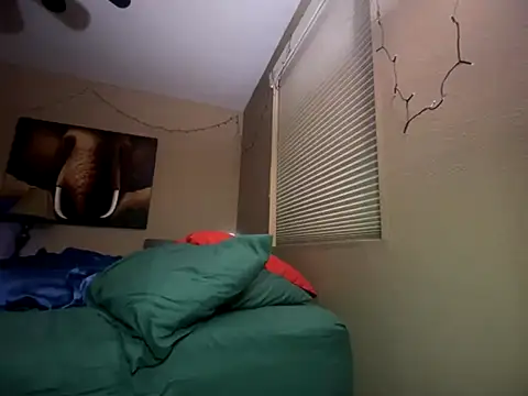 Bwcjoshbanks online show from 11-28-25, 06:24