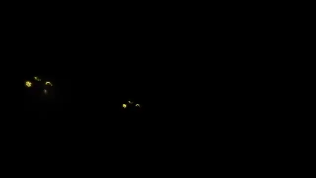 denise sweetbunny online show from 02-14-26, 05:24