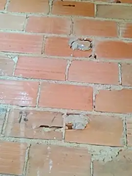 magrinhosafadao online show from 11-25-25, 09:20