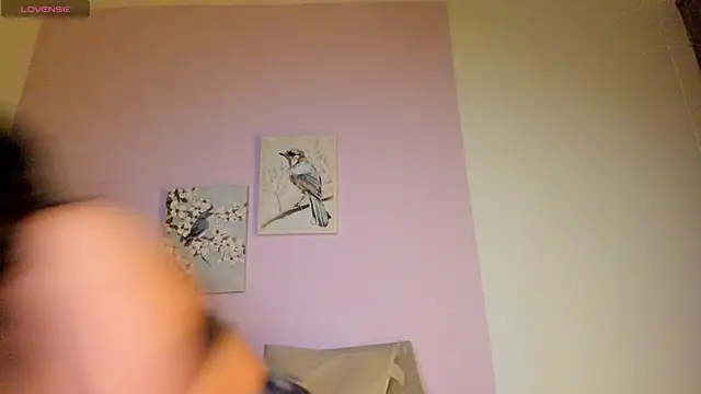 Mhia palmer online show from 02-01-26, 11:19