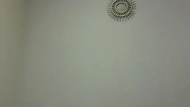 feline27 online show from 11-07-25, 10:13