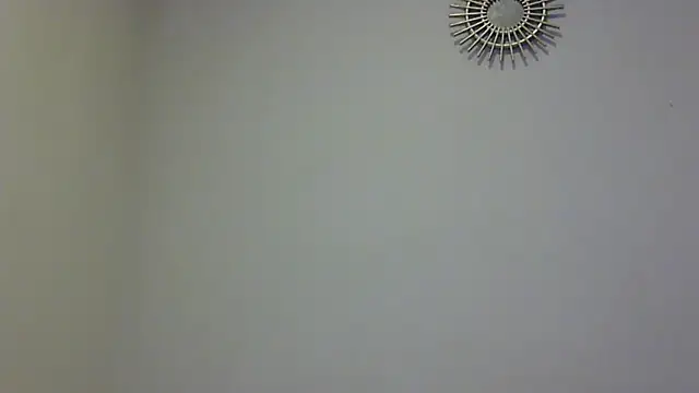 feline27 online show from 11-11-25, 08:47