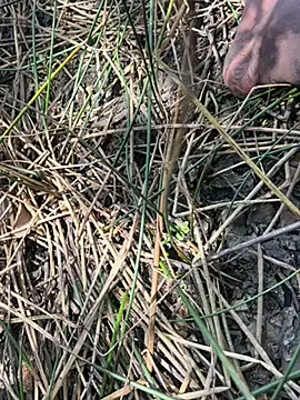 Yurt000 online show from 09-23-25, 05:36