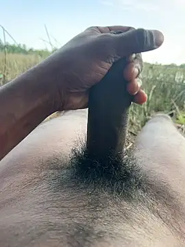 Yurt000 online show from 09-28-25, 10:55