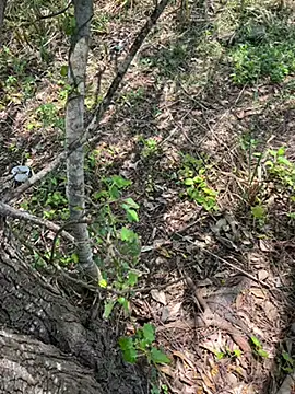 Yurt000 online show from 09-10-25, 05:28