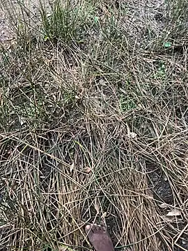 Yurt000 online show from 09-16-25, 04:57