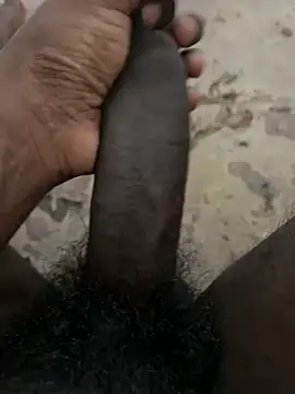 Yurt000 online show from 01-29-25, 09:44