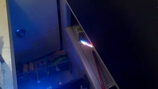 Bi curious86 online show from 11-01-25, 10:03