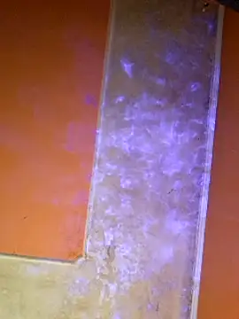 Snapshot of ducicsajsziii chatting on 03-07-25, 08:33 ducicsajsziii online show from 03-07-25, 08:33