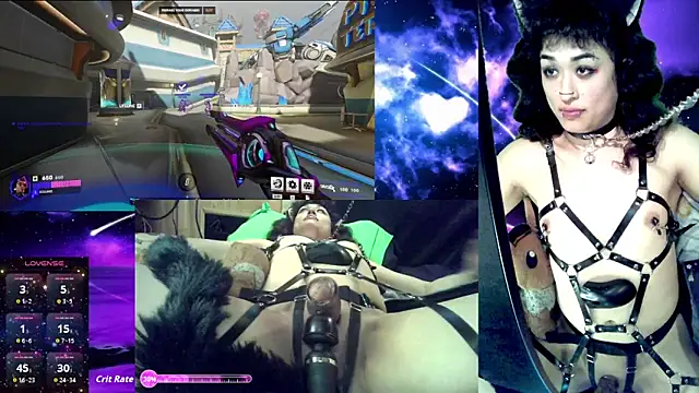 Solumi online show from 02-11-26, 08:14