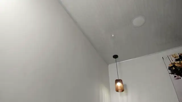 dolly zoe online show from 02-13-26, 04:56