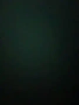 Soylu95 online show from 11-11-25, 10:58