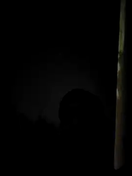 ZIMMY25 online show from 06-02-26, 06:41
