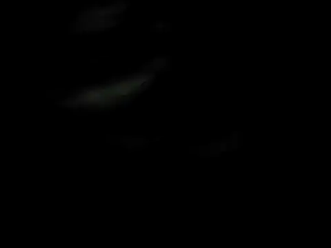 ZIMMY25 online show from 03-31-26, 07:38
