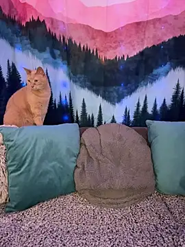 ItsDanniG online show from 03-10-26, 09:08