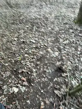 Aronn4 online show from 02-03-25, 08:02