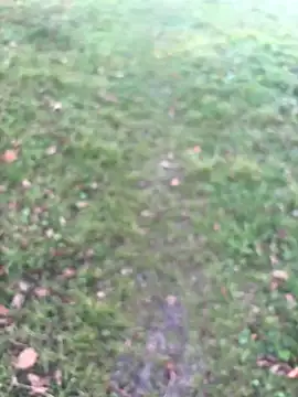 Aronn4 online show from 10-22-25, 06:13