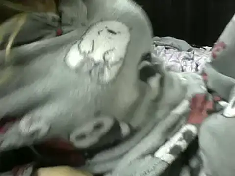 Paulita x3 online show from 09-11-25, 11:54