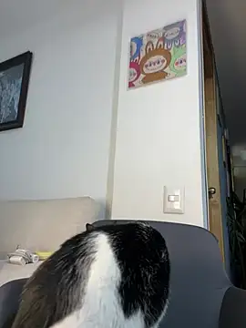 ananya sex1 online show from 03-15-26, 05:58