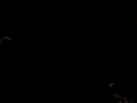 Nawtyslaveteen online show from 11-24-25, 08:31