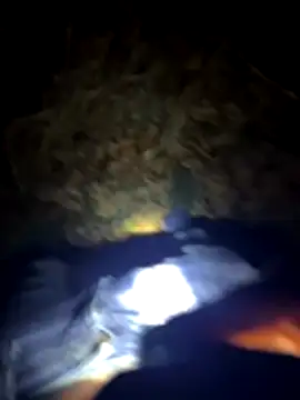 Germanboyy91 online show from 12-22-25, 01:50