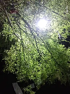 Hotbodyscottie online show from 03-22-26, 09:11