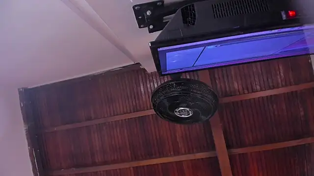 emily-fox online show from 02-13-26, 11:10