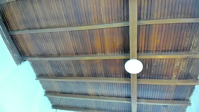 emily-fox online show from 09-19-25, 11:03