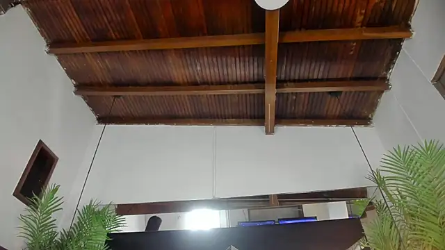 emily-fox online show from 03-31-26, 11:01