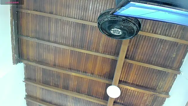 emily-fox online show from 10-06-25, 11:00