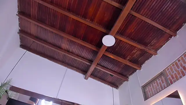 emily-fox online show from 03-19-26, 11:10