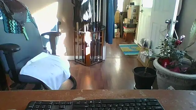 Snapshot of Daremeknot chatting on 03-10-25, 01:54 Daremeknot online show from 03-10-25, 01:54